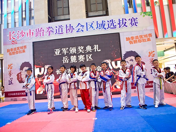 2014年跆拳道区域争霸赛